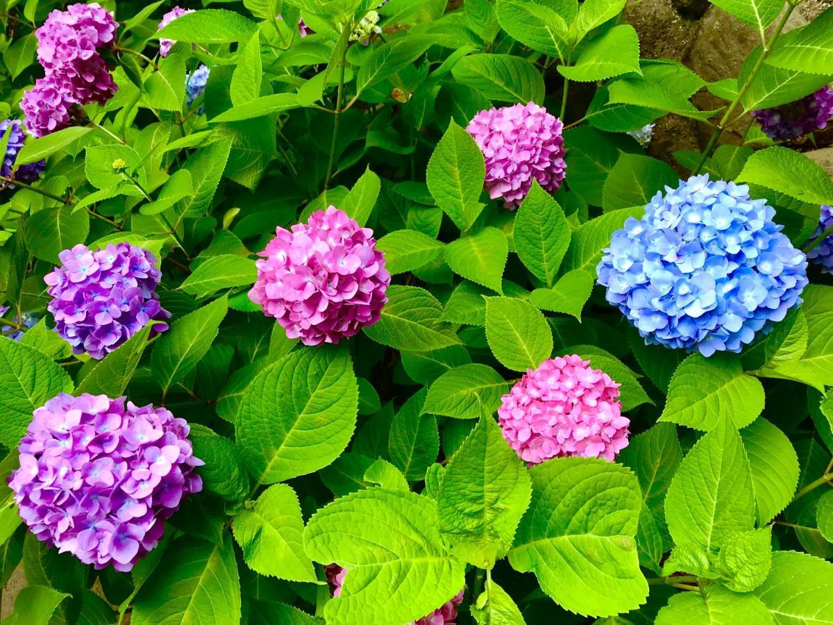 Yamanouchi  藤花楼 Kamakura Bed & Breakfast エクステリア 写真